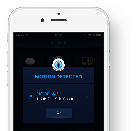 Motion Sensor