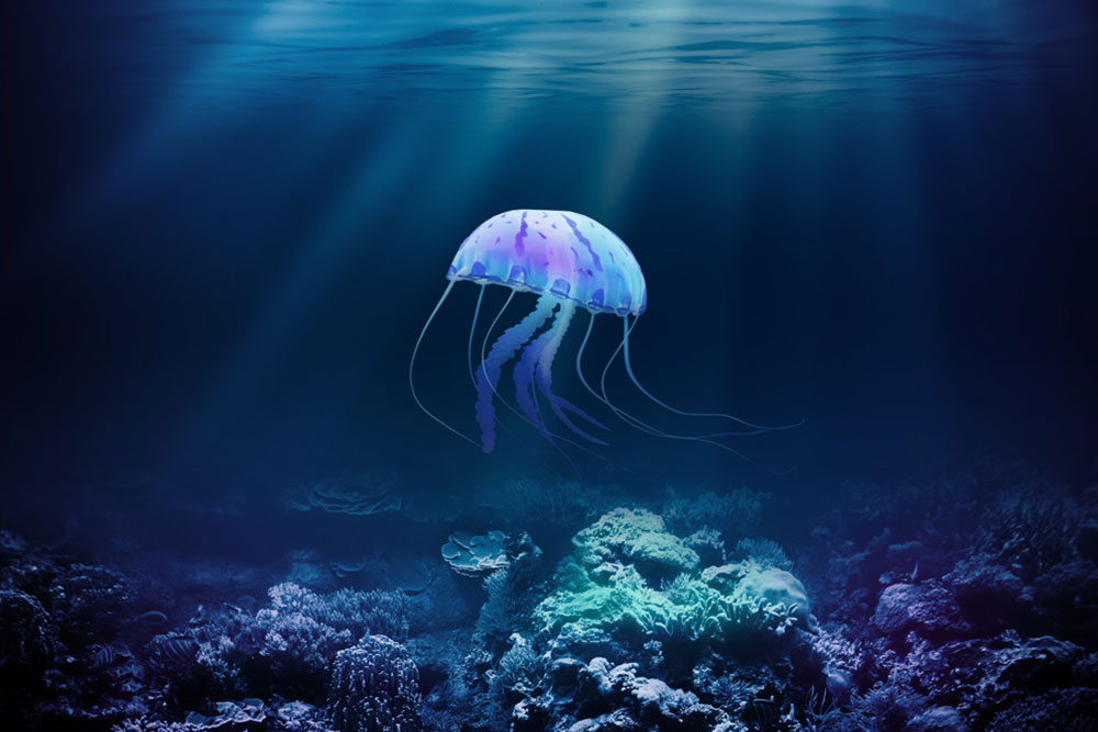 Deep ocean
