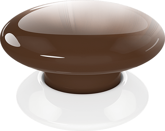 The Button