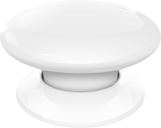 The Button